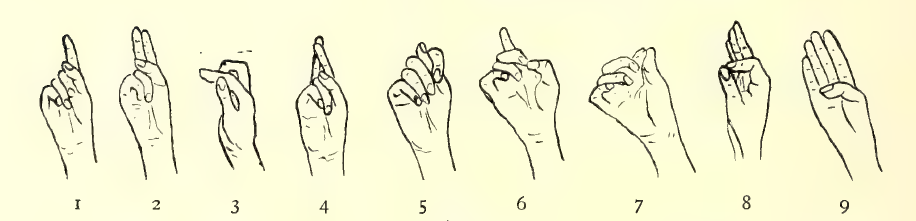 Illustration of how to count from 1 to 9 in Maasai using fingers on one hand.   