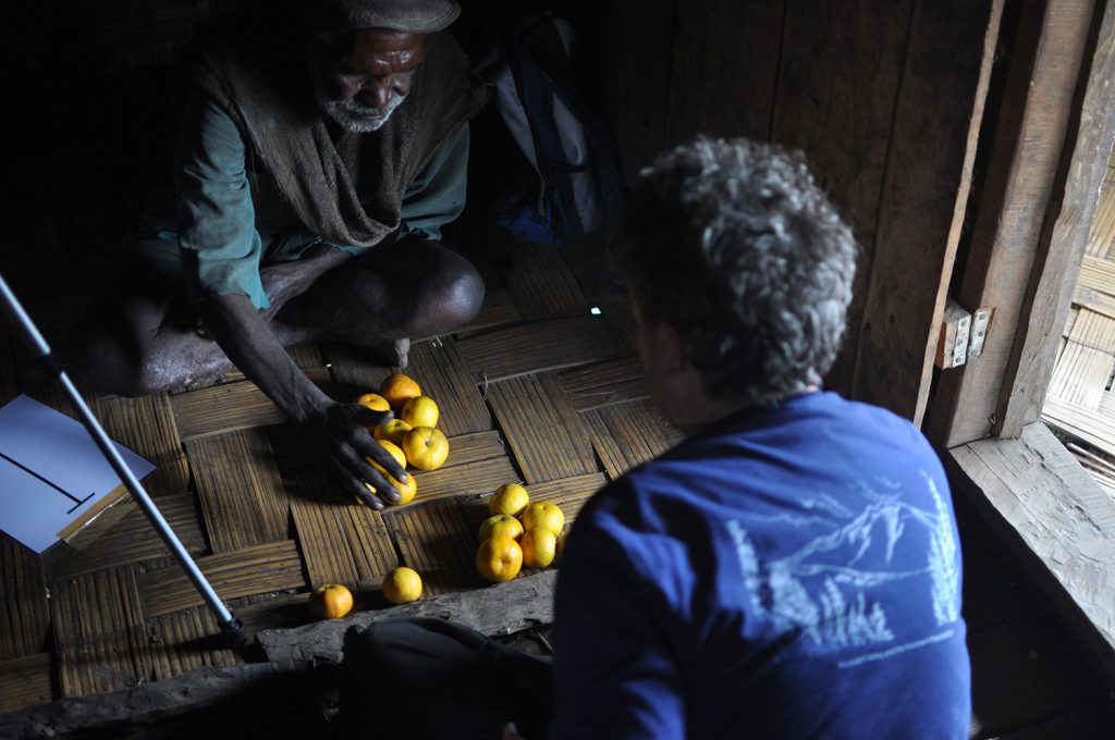 Indigenous man counting oranges in Papua New Guinea with researcher observing. 