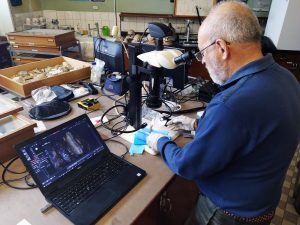 PI Francesco d'Errico studying the notched bone at the lab with a microscope.