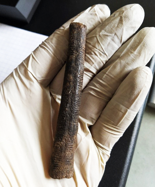 Notched bone in the palm of a hand with white gloves.